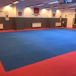 Dojang - Träningssalen